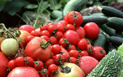 從農(nóng)田到餐桌，健康食材一站式供應(yīng)