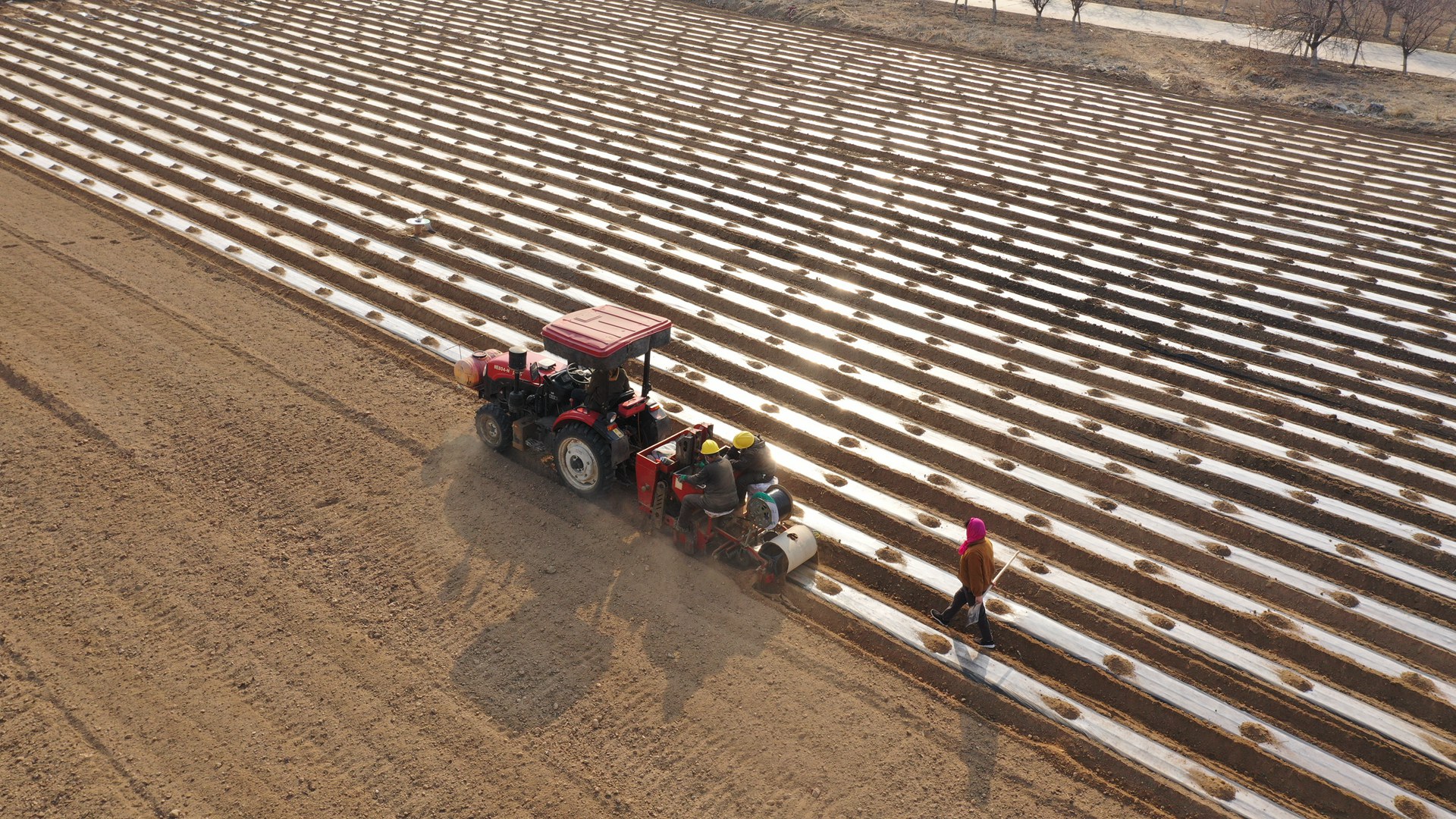 博華生態農業春日農忙不停歇，綠色發展正當時